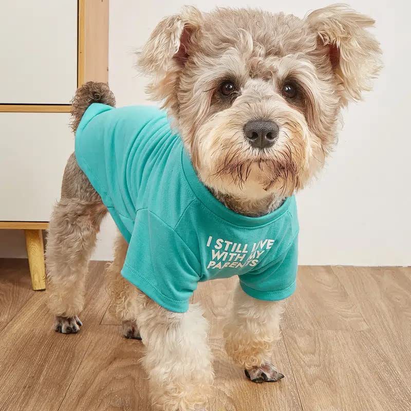 Round Neck Pet T Shirt Clothing