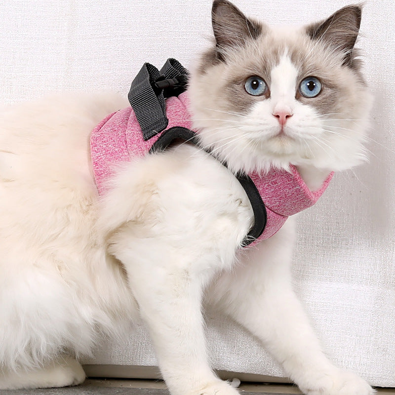 Lightweight Breathable Pet Chest Strap With Lace Rope Leash