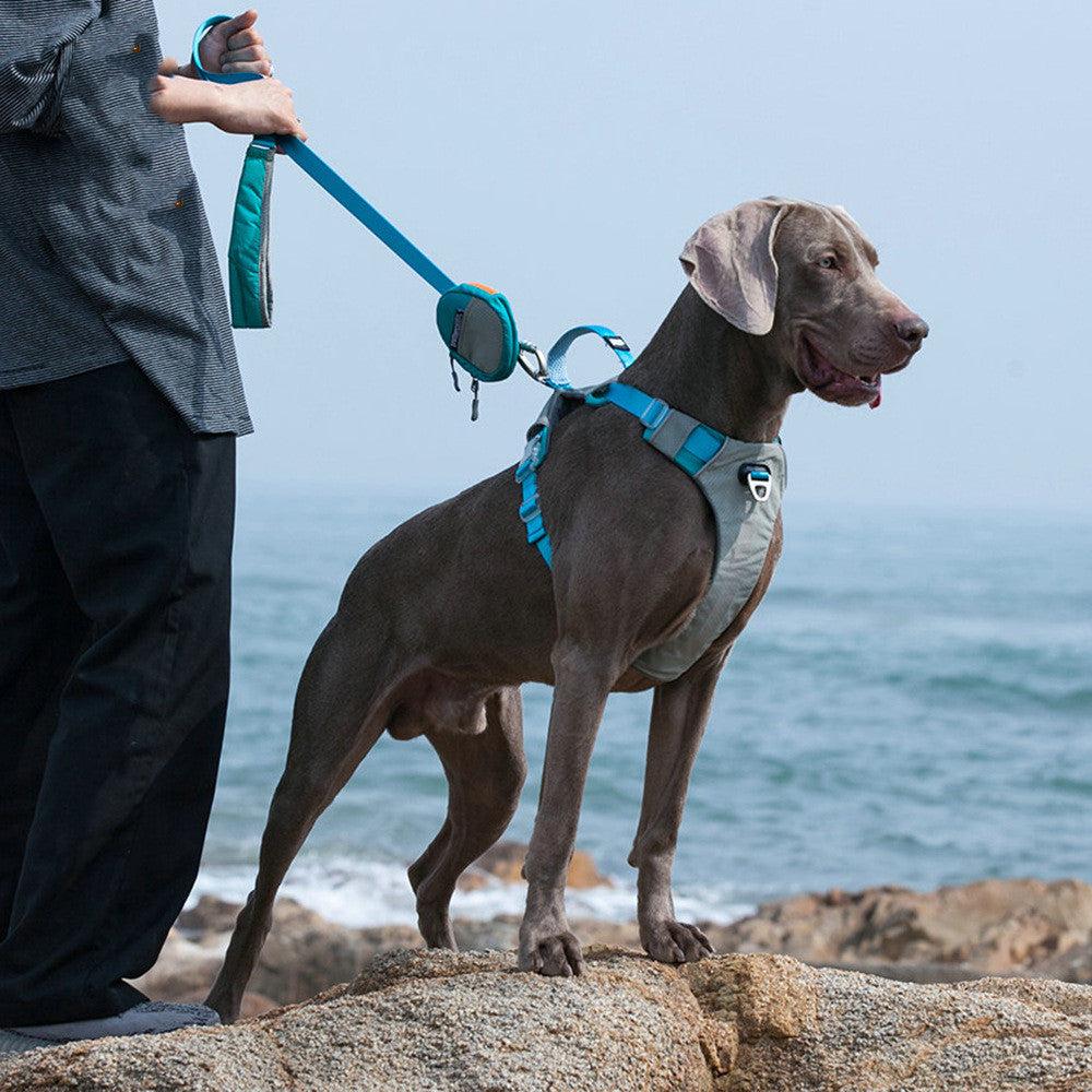 Anti Escape Pet Chest Strap Leash Storage Bag