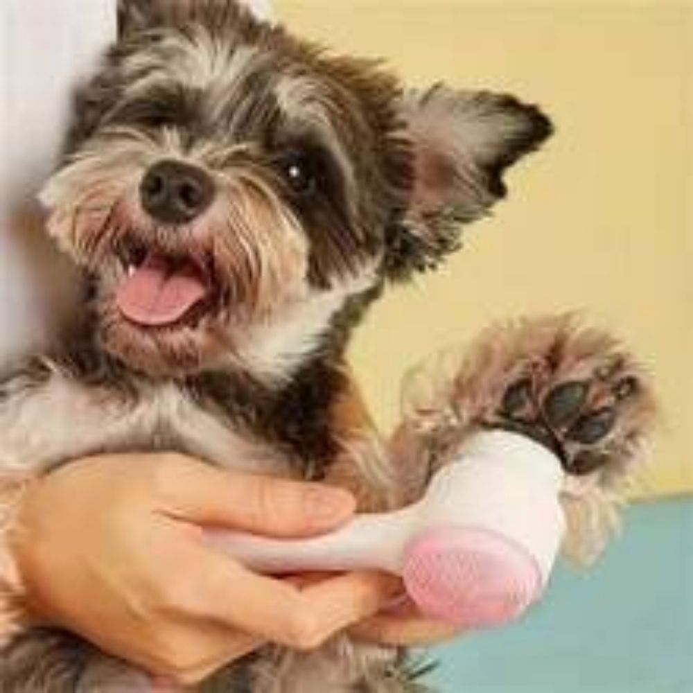 Pet Nylon Paw Grooming Massage Cleaning Brush