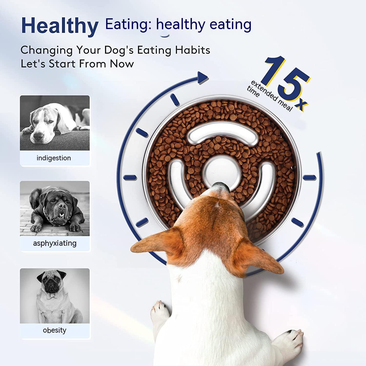 Stainless Steel Pet Slow Feeding Bowl Neck Protector