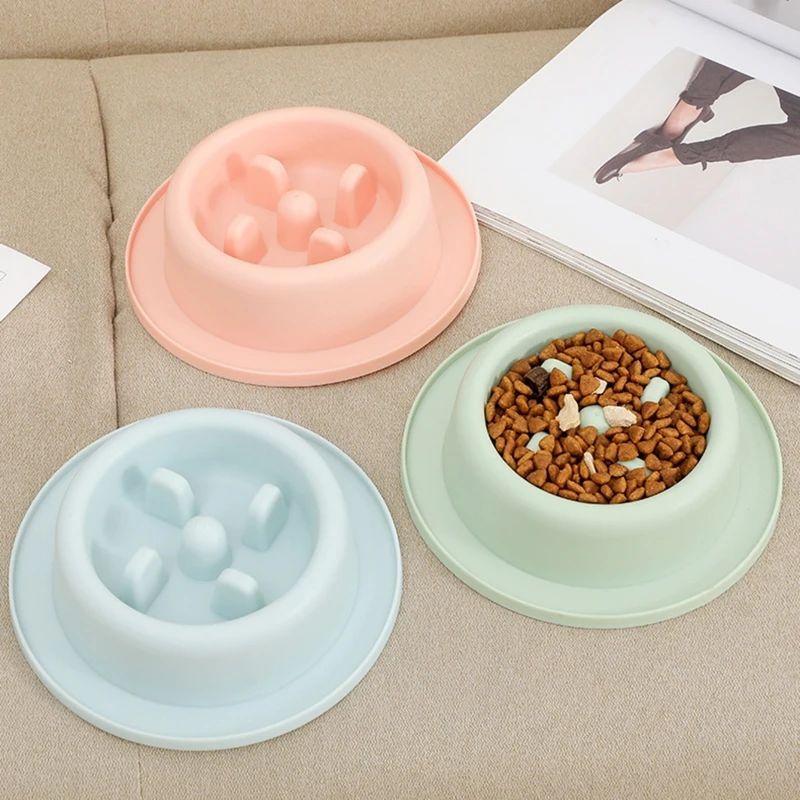 Pet Slow Feeding Anti Choking Food Bowl Interactive Plate