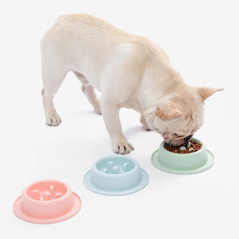 Pet Slow Feeding Anti Choking Food Bowl Interactive Plate