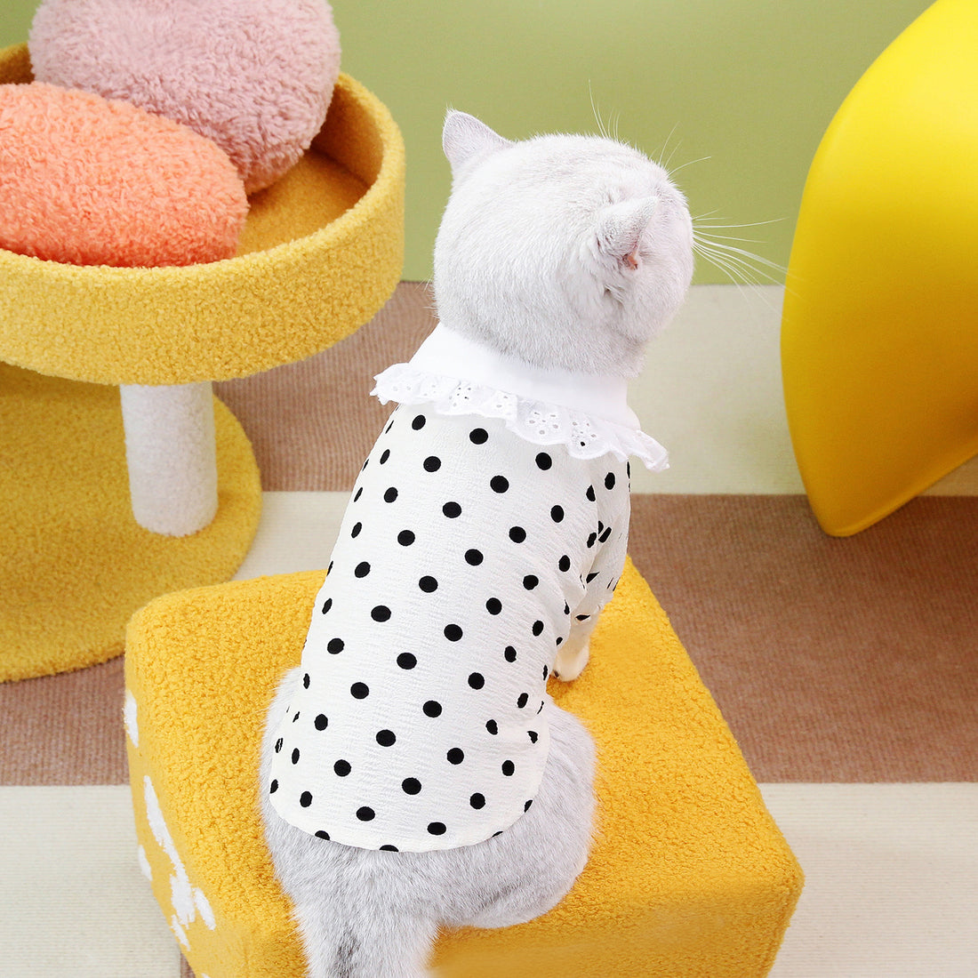 Blue Pet T Shirt Clothing