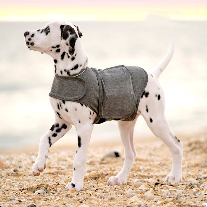 Warm Anxiety Support Pet Vest Clothing