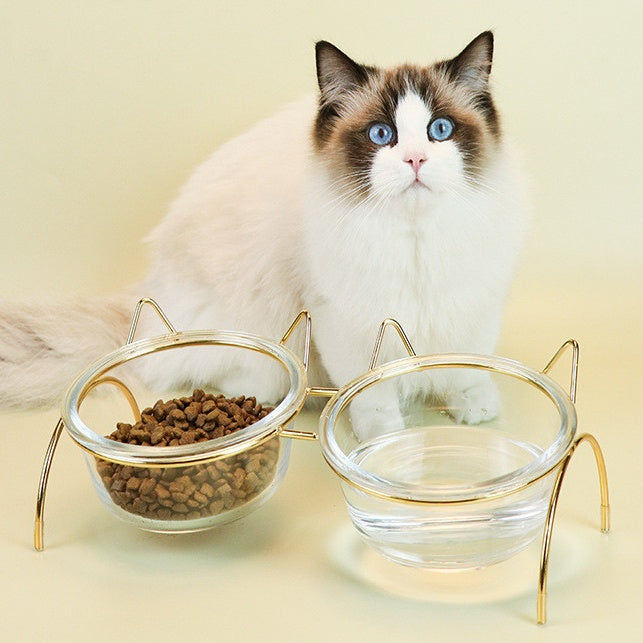Pet Glass Feeding Bowl With Metal Stand Feeder