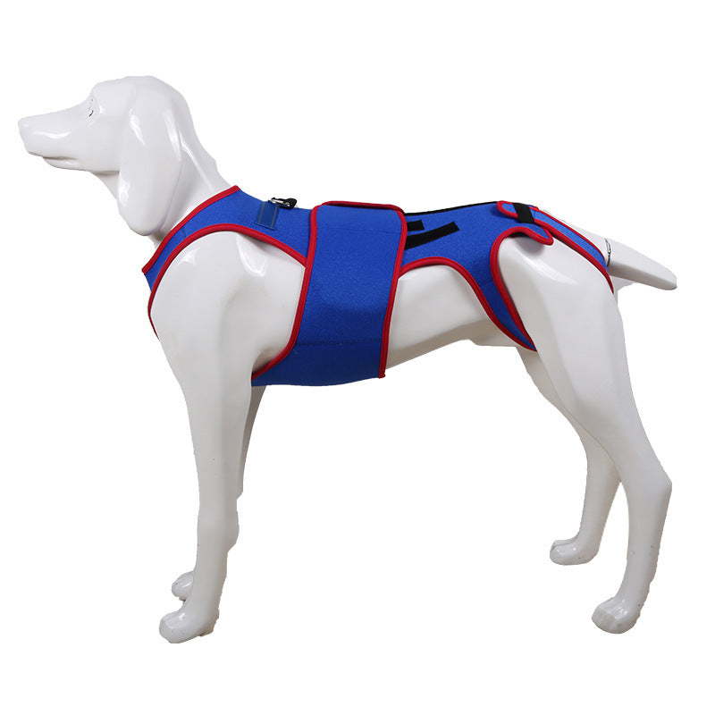 Pet Spine Support Jacket Posture Corrector
