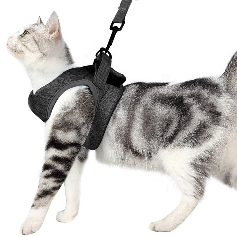 Lightweight Breathable Pet Chest Strap With Lace Rope Leash