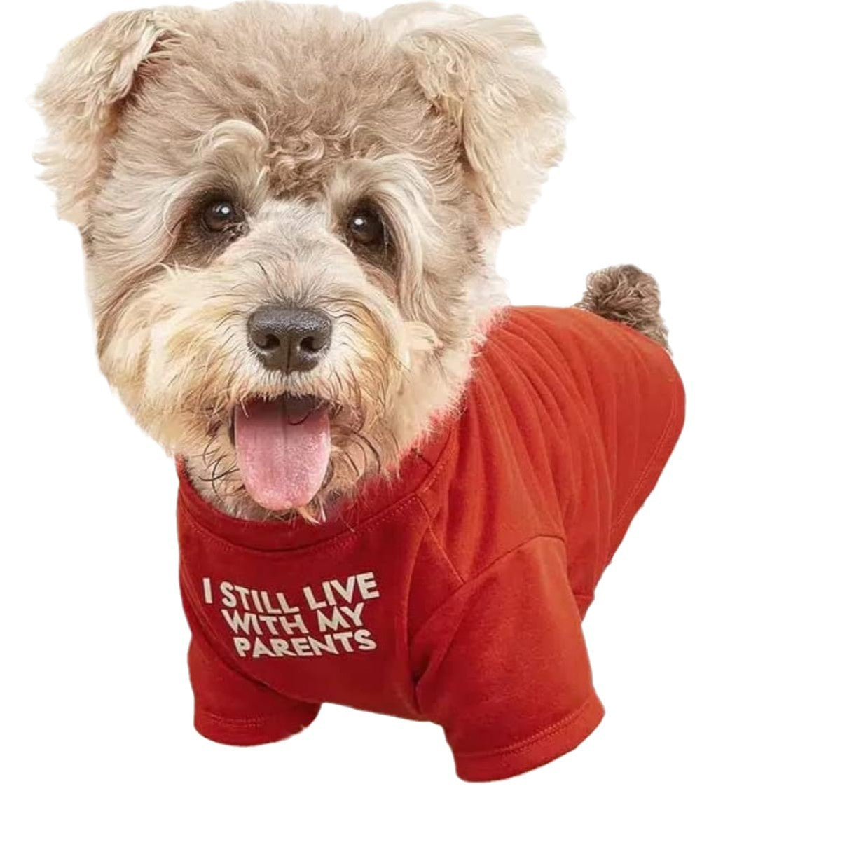 Round Neck Pet T Shirt Clothing