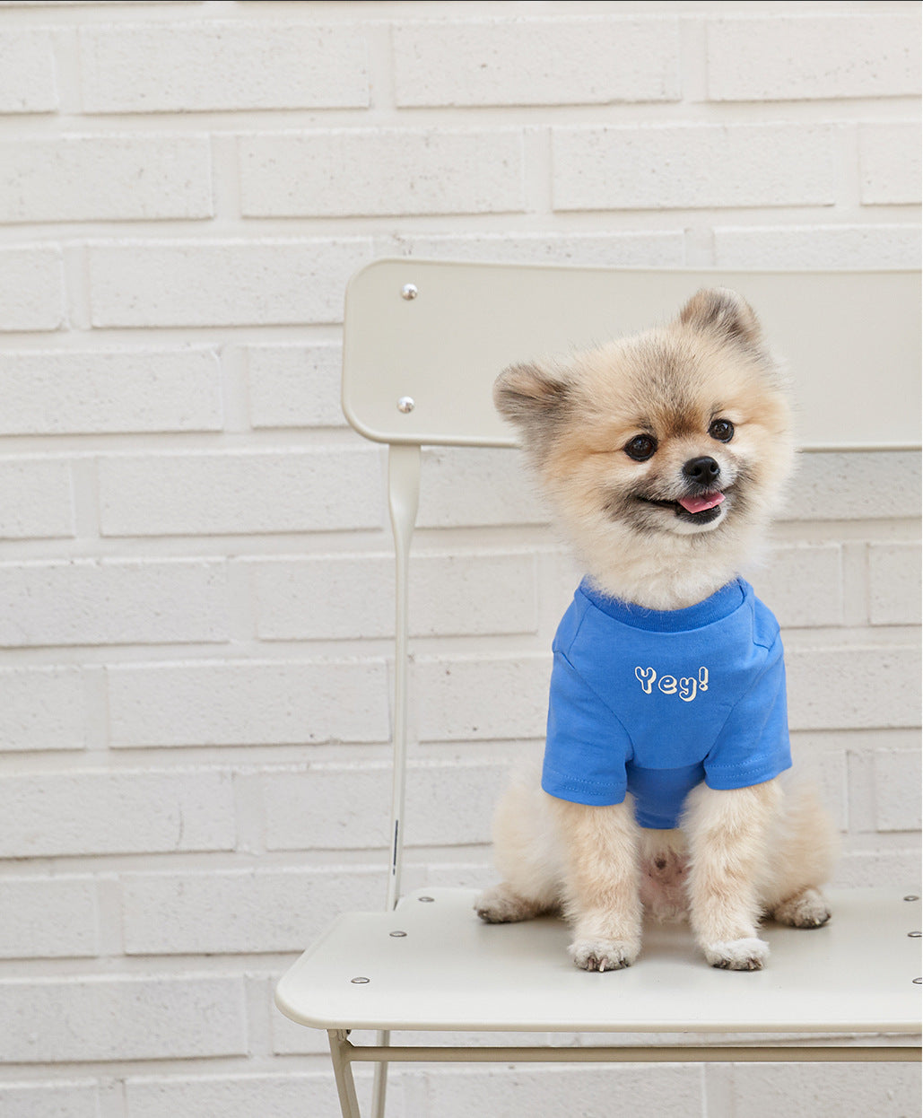 Pet Cotton Printed Summer Short Sleeve T Shirt