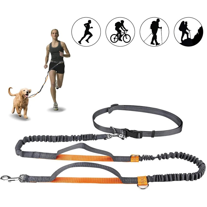 Adjustable Pet Harness Collar Jogging Leash Strap