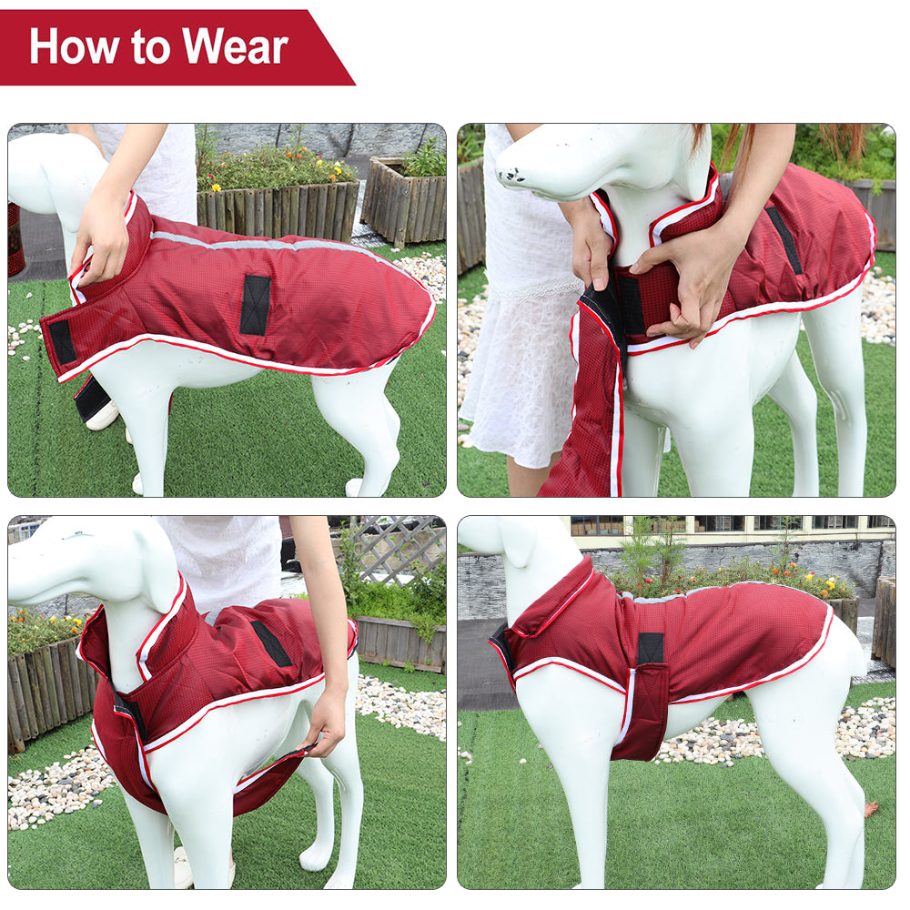 Pet Warm Waterproof Autumn Winter Leisure Jacket