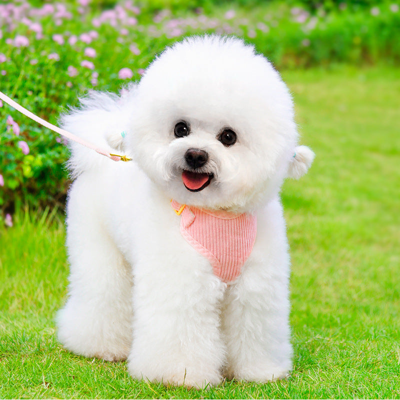 Outdoor Pet Harness And Leash Set