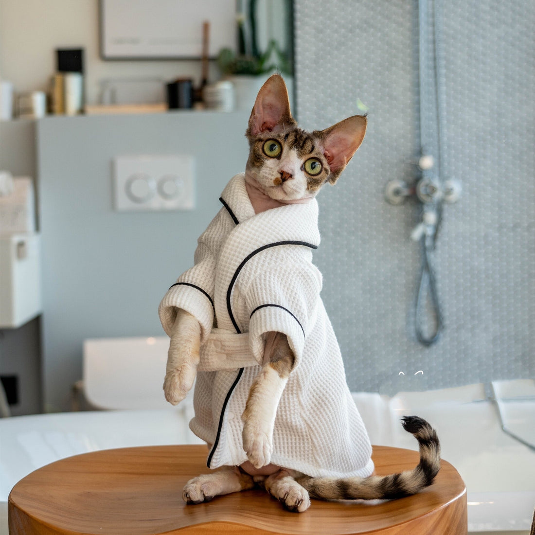 Pet Soft Absorbent Bathrobe Bath Towel Wrap