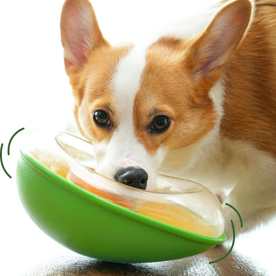 Avocado Shape Anti Tumble Pet Feeding Bowl
