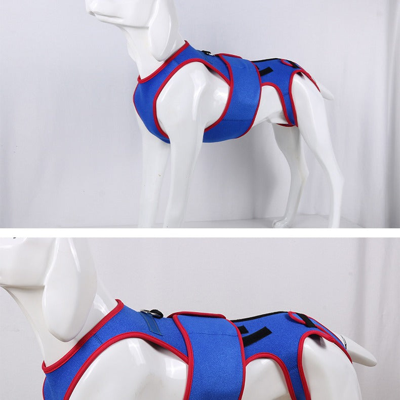 Pet Spine Support Jacket Posture Corrector