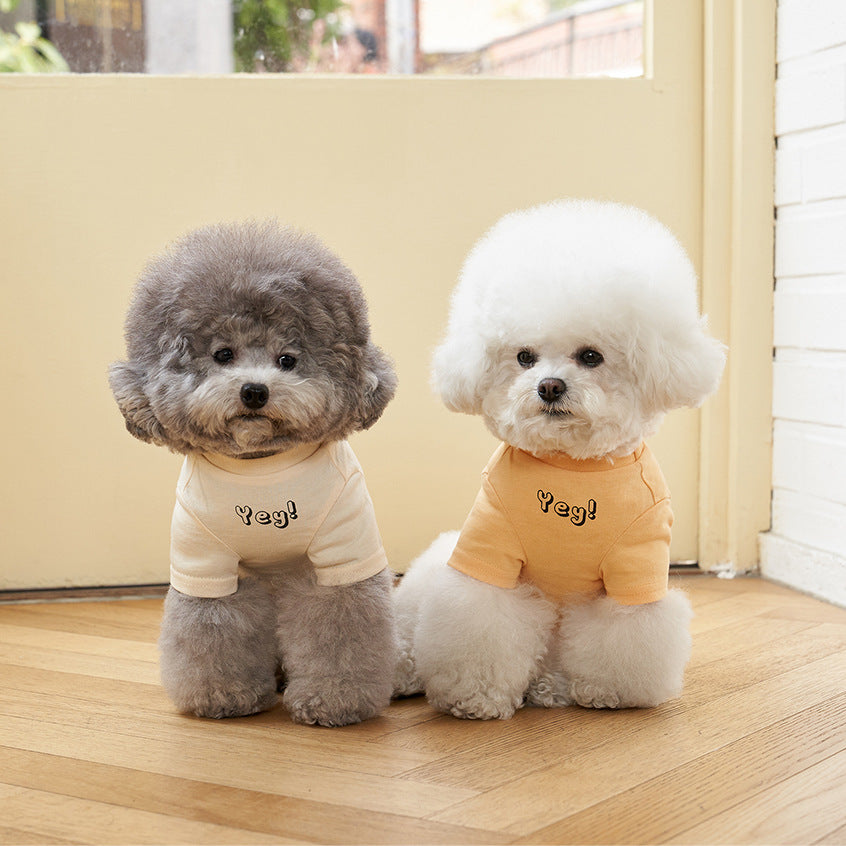 Pet Cotton Printed Summer Short Sleeve T Shirt