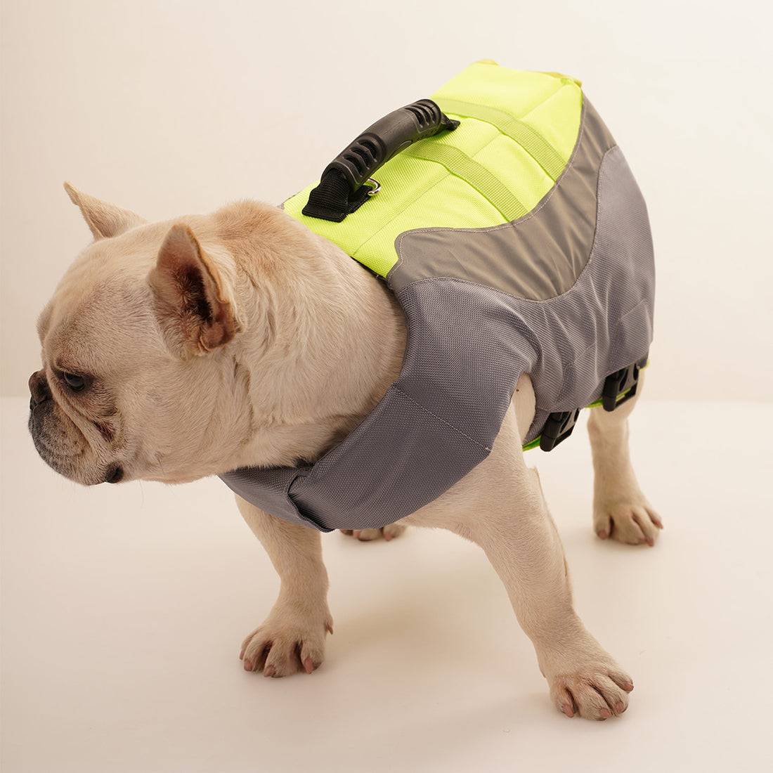 Pet Reflective Swimsuit Safety Life Jacket