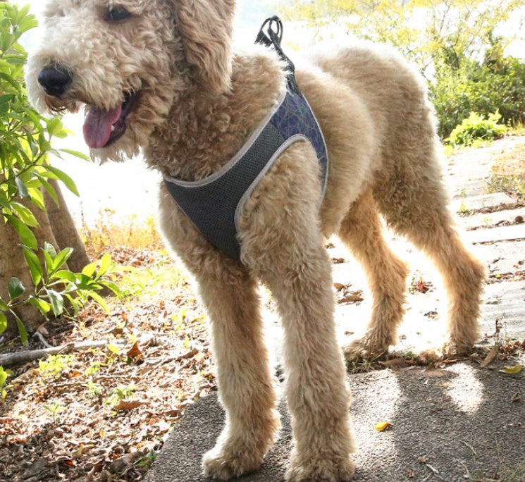 Pet Vest Harness With Leash Control Strap