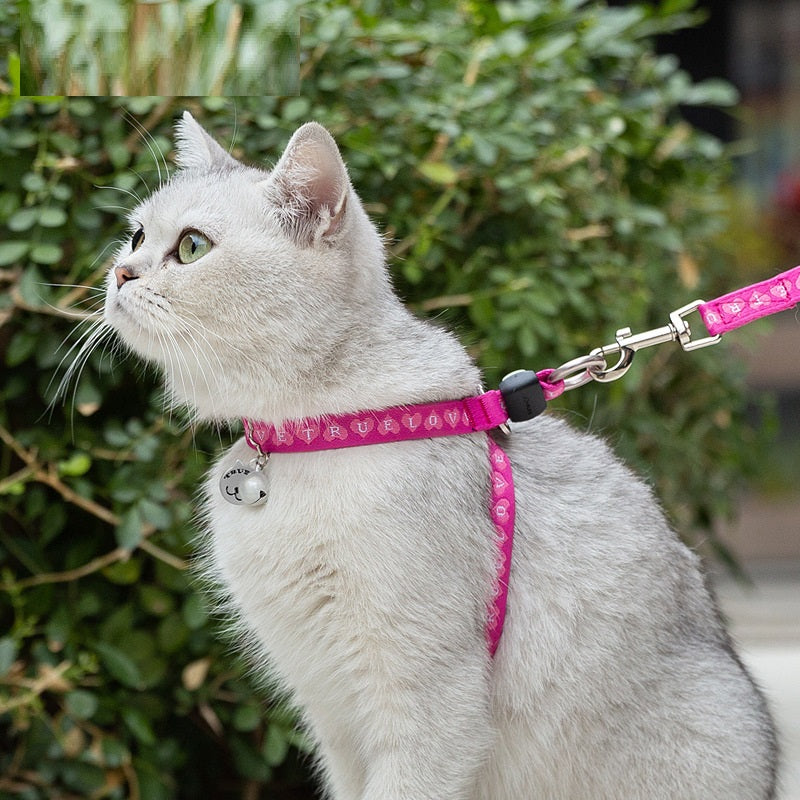Bell Chest Strap Pet Vest With Haulage Rope Leash
