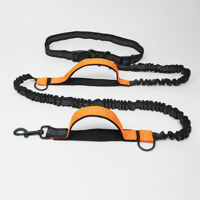 Adjustable Pet Harness Collar Jogging Leash Strap
